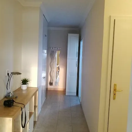 Apartment Duna View